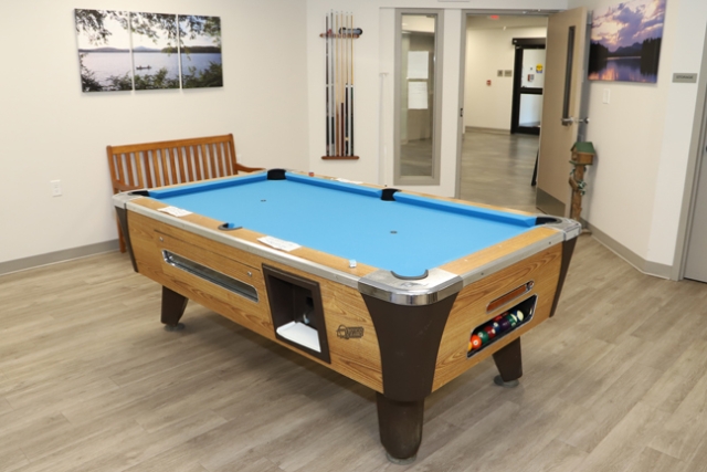 Community Room Pool Table