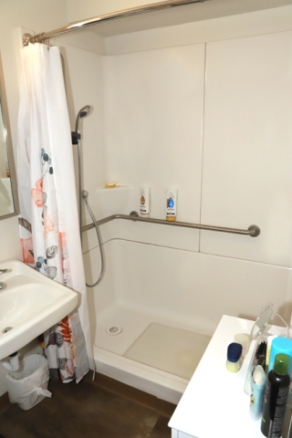 Apartment Bathroom Shower
